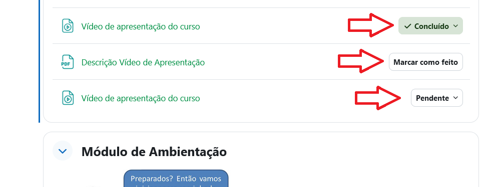 Marcado como concluído: manual ou automático.
Pendente: atividades que ainda precisam ser finalizadas.
Pend